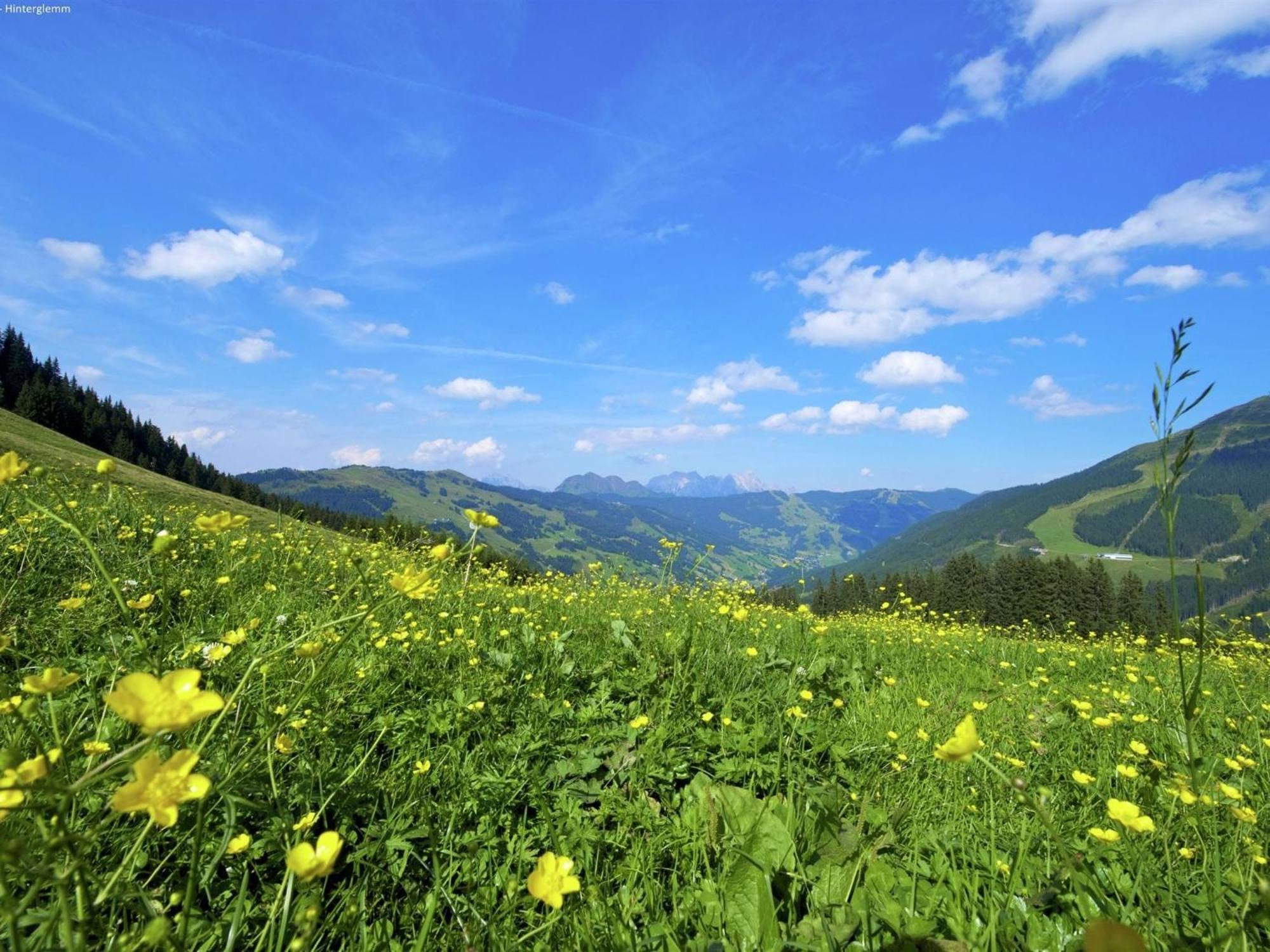 Large Chalet Apartment In Saalbach Hinterglemm Zewnętrze zdjęcie